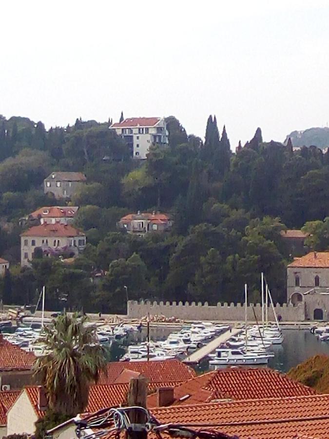 Apartman Ivana Apartman Dubrovnik Kültér fotó